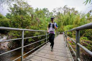 BIB: 2277
                            <button type="button" onclick="openModal(178352)" class="btn btn-primary btn-sm float-right btn-popup" data-toggle="modal" data-target=".modal-high-quality">
                        <i class="fas fa-shopping-cart"></i> Add to Cart
                    </button>
                                            <button type="button" onclick="isThisMe(178352, true)" class="btn btn-success btn-sm float-right btn-popup btn-isme hidden" data-toggle="tooltip" data-placement="bottom" title="นี่คือรูปของคุณใช่ไหม คลิกที่นี่เพื่อเอาเข้าอัลบั้ม">
                        <i class="fas fa-plus"></i> Add to album
                    </button>
                    <button type="button" onclick="isThisMe(178352, false)" class="btn btn-warning btn-sm float-right btn-popup btn-isnotme hidden">
                        <i class="fas fa-ban"></i> Remove from album
                    </button>